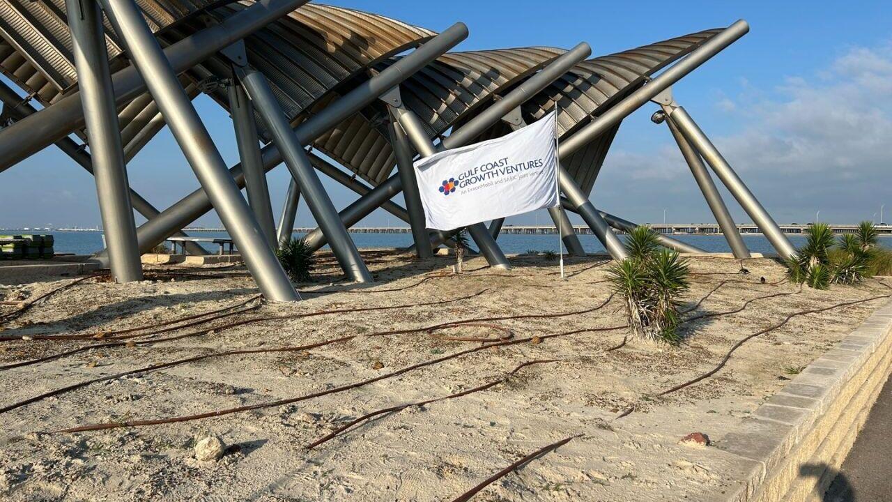 Gulf Coast Growth Ventures flag