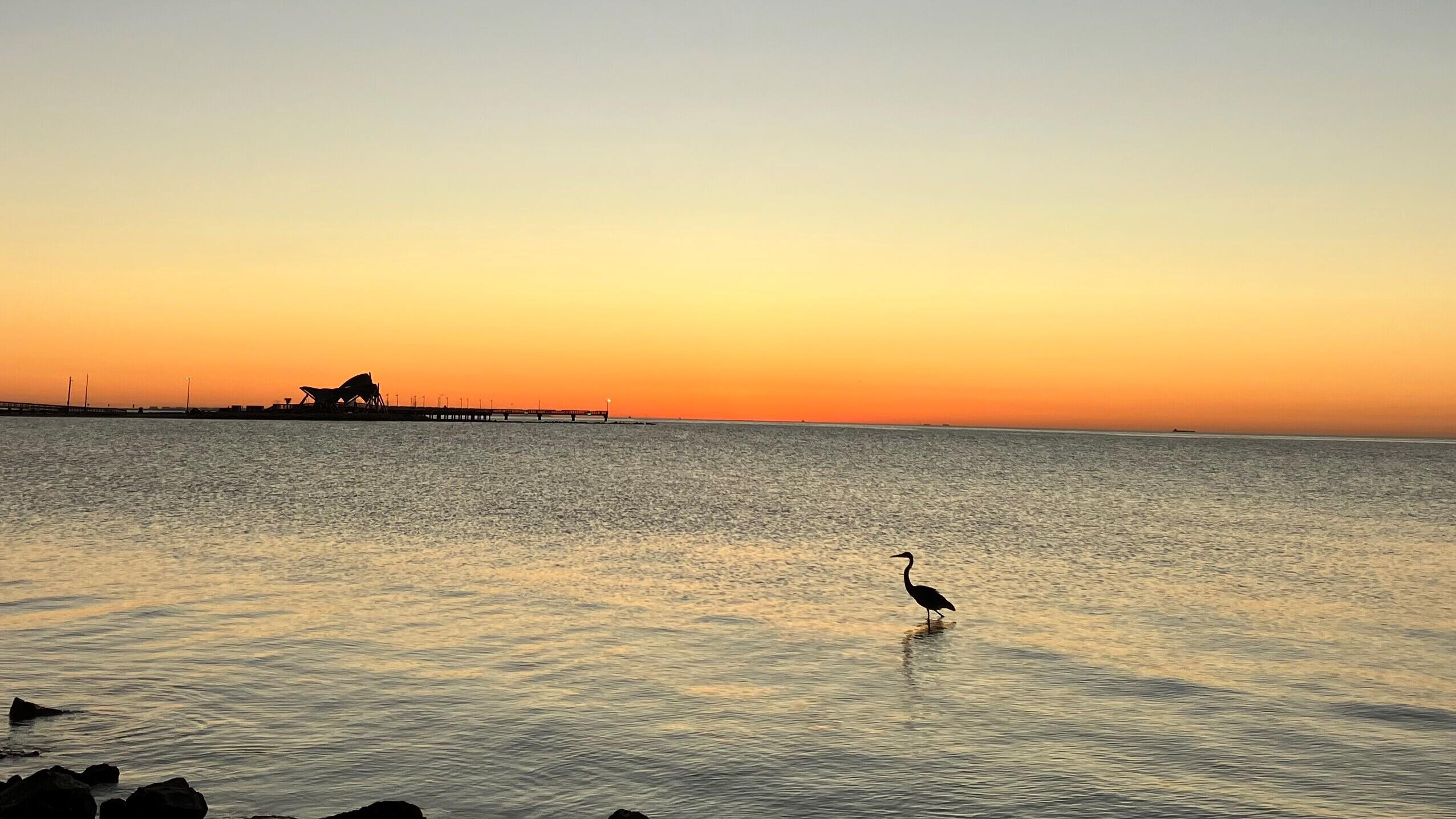 A serene sunset scene over a calm bay shows the sky fading from orange near the horizon to pale blue above. In the foreground, dark rocks line the shore while gentle ripples move across the water. A lone wading bird, likely a heron or egret, stands in the shallow water, its reflection visible. Far in the distance, a pier and a distinctive structure are silhouetted against the glowing horizon.